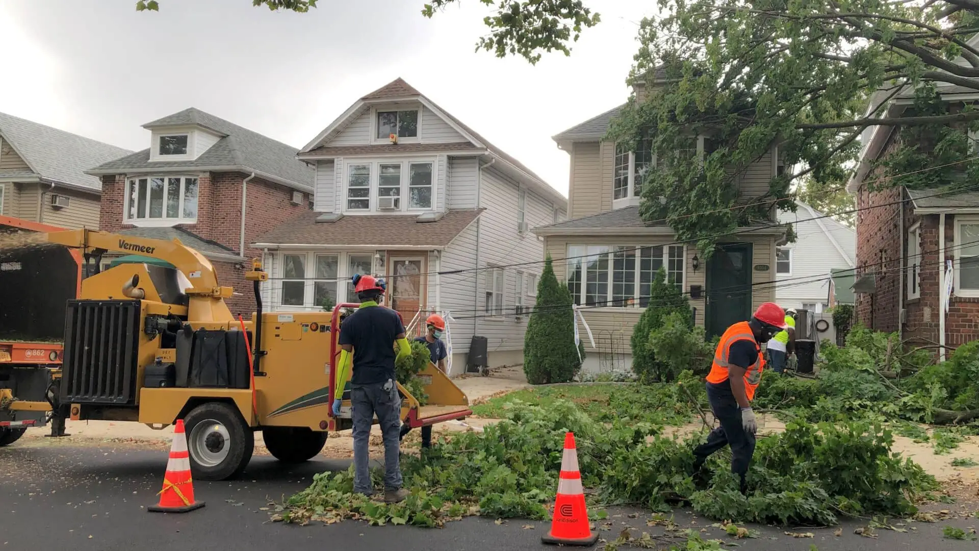 Tree Removal in Manhattan